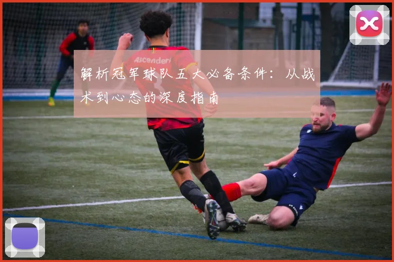 解析冠军球队五大必备条件：从战术到心态的深度指南