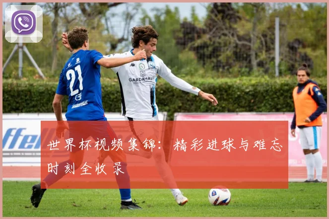 世界杯视频集锦：精彩进球与难忘时刻全收录